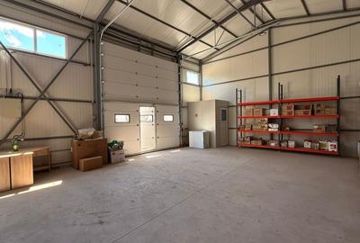 Zona industriala Hala Noua,ideala depozitare zona logistica. - 9