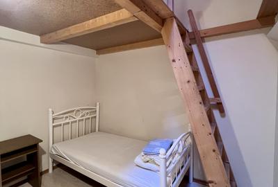 Apartament 2 camere, curte comuna, 50 mp - Zona Iosefin - 9