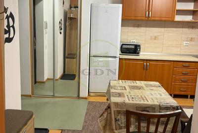 Apartament 2 camere de inchiriat-Zona Doamna Stanca - 8