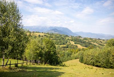 Comision0% Investitie turistica unica - Bran Sohodol 10131mp-Via Transilvanica - 9