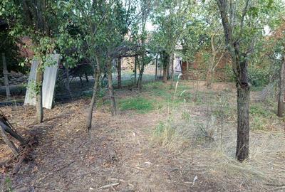 Naidas, Casa 7 Incaperi, 842mp Teren, Pret Negociabil - 23