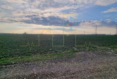 Teren agricol extravilan de 4345 mp, în Freidorf