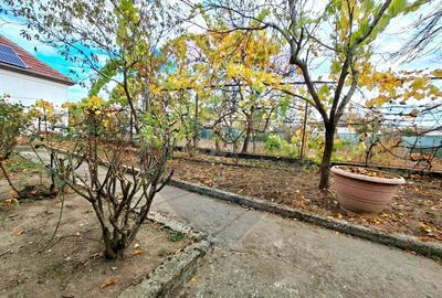Casa veche cu teren 929 mp- oportunitate in Vladimirescu- comision 0% - 7
