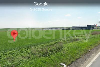 Teren 10.000 mp Constanta - Valu Traian - 2