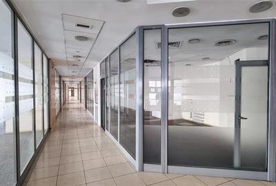 Inchiriere spatiu comercial Pantelimon - Piata Delfinului, Bucuresti - 19