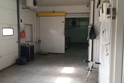 Depozit 600mp Techirghiol - 14
