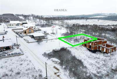 RECO, Teren intravilan cu aviz de oportunitate, Zona lacului, Paleu - 2