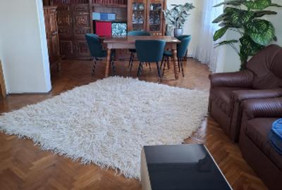 Apartament în vila, 3 camere, zona Universitate-Scoica - 16