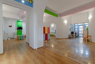 Casă individuală cu 14 camere în Basarabia