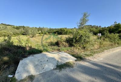 Teren 33290 mp, Lupsa de sus, Oportunitate de investitie - 1