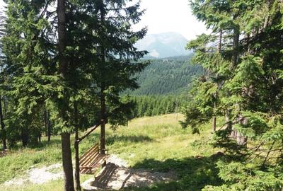 De vanzare, cabana Ranca, judetul Gorj - 5