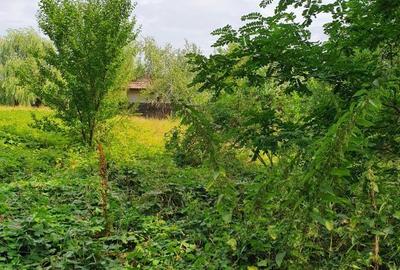 PARADISUL VERDE- teren in suprafata de 1 326 mp,. utilitati - 3