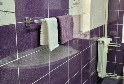 Inchiriere 2 camere zona ALBA IULIA-UNIRII - 17