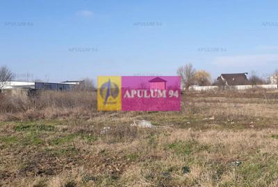 Teren construcție casă - 1 Decembrie - Zona Metropolitană București - 47