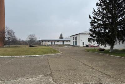 Hala industriala de vanzare in Harlau, 11.500 mp utili, teren 44.268 mp - 11
