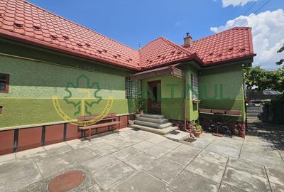 Casa de vanzare pe un nivel in Turnisor, Sibiu - 6