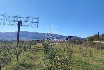 Teren intravilan 1,23 Ha la DN17 cu utilitati-livada-Crainimat - 1