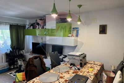 Magazin alimentar modernizat si locuinta. Investitie Salicea - 14