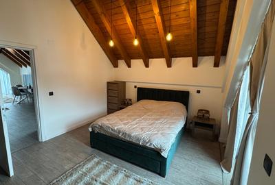 Apartament 2 camere  complex Chatel Doga Sinaia + loc parcare  inclus - 8