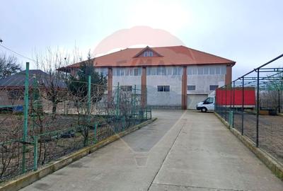 Hală producție depozitare spațiu rezidențial | Teren 4586 mp - 5