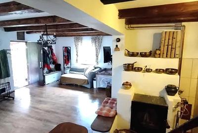 Casă de vânzare – Ocoliș | Teren generos + facilități complete - 3