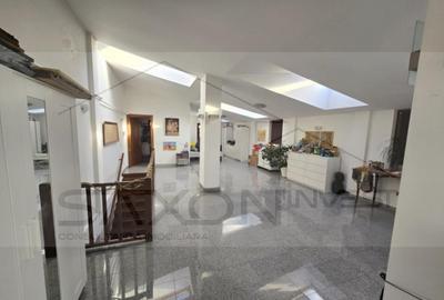 Vila individual, P 1 M-  Bucuresti Noi,  constructie modernă, 9 camere - 21
