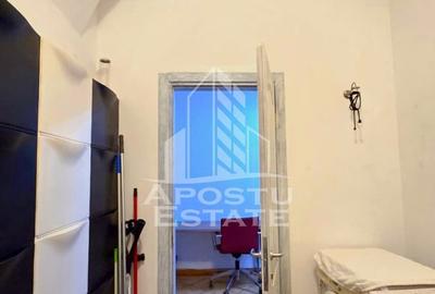 Apartament 1 camera de inchiriat, pet friendly, centru, Timisoara - 11