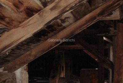 Cismigiu, imobil S+P+3E+M - 4