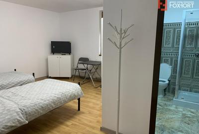 Casa individuala cu 16 camere de inchiriat, zona Sag - 8