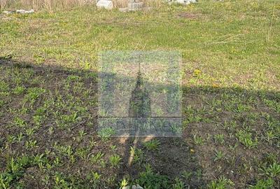 Teren intravilan 1000 mp, PUZ , Autorizație - zona Stupini/Baciului - 5