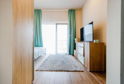 De vanzare pensiune in Sasca Montana - clasificare 3 margarete - 29