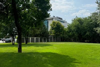 Spatiu comercial | Stradal | NOU | 273 m2 | Trafic Intens | - 8
