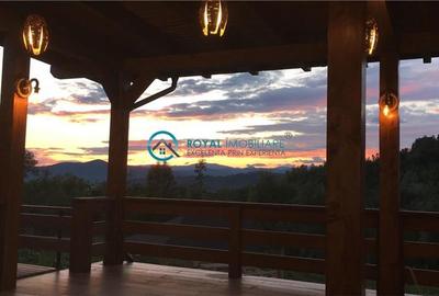 Royal Imobiliare -vanzare vila/ casa de vacanta zona CAMPINA - 28