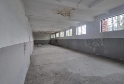 Propietate Industriala in spate la Dedeman - Str. Pades - 5
