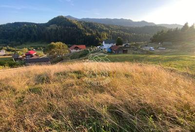 Teren Intravilan 1000mp-panorama-oportunitate investitie-Colibita - 3
