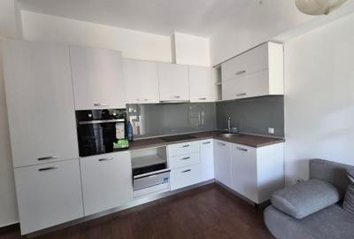 Inchiriere Duplex 2 Camere cu Gradina Iancu Nicolae - 3
