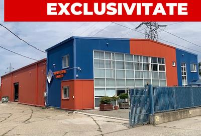 Hala de vanzare, an 2008, zona industriala Bacau - 1