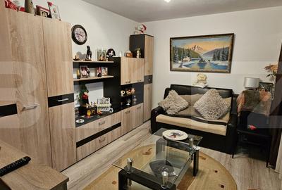 De vazare casa  moderna cu un miniapartament suplimentar la demisol in Hlincea - 19