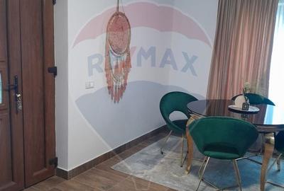 Casă / Vilă cu 4 camere de vânzare Curtea de Arges - 21
