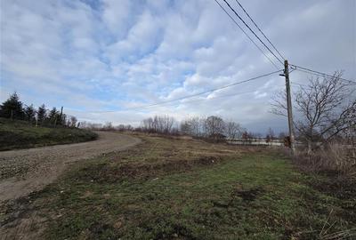 Teren intravilan de 647 mp, în Paleu