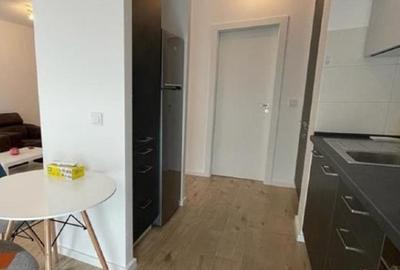 Belvedere Residences Bloc 6     - 2 camere mobilat - 12