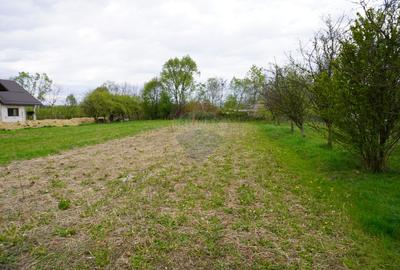 Teren Intravilan de 2.216 mp în Sarasău - 3