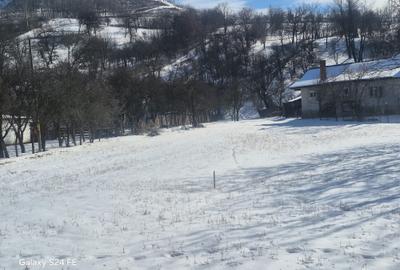 Teren intravilan de vânzare – Zona Gârcina / Ocol - 2