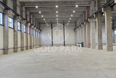 Spatiu Industrial-Mihai Viteazu/Zona Autostrazii A3-Constructie Noua - 5