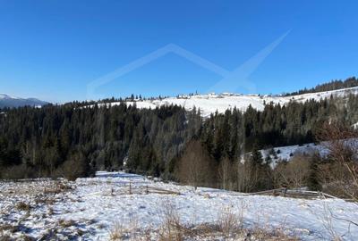 Teren Construcții intravilan de 17070 mp, în Beliș