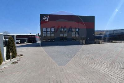 Spațiu industrial de inchiriat - 9