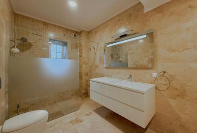 Duplex 5 camere de închiriat - Iancu Nicolae - 14