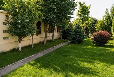 Iasi, Tudor Vladimirescu, vila 9 camere - 13