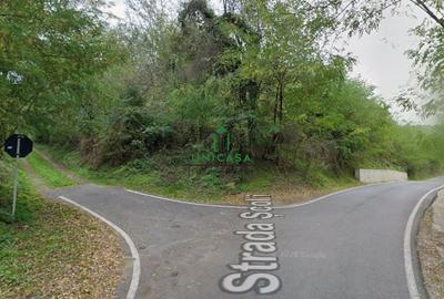 Teren 12.690 mp | 3.900 mp intravilan | Ocnele Mari- Slatioarele - 2