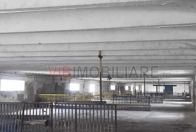 *Fermă modernă pentru export miei | 6 ha | Standarde europene | Aproape de Brăil - 10
